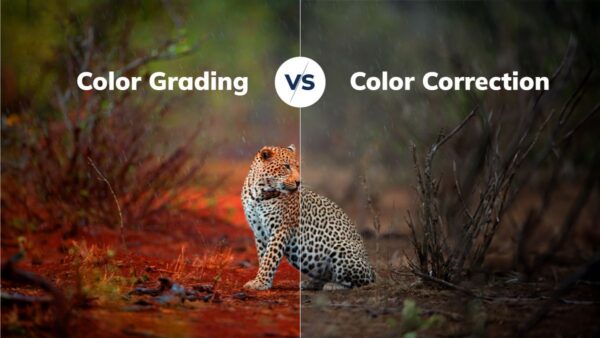 آموزش رنگ پردازی و اصلاح رنگ در پریمیر (اصول Color Correction و Color Grading) 42 اصلاح رنگ در پریمیر